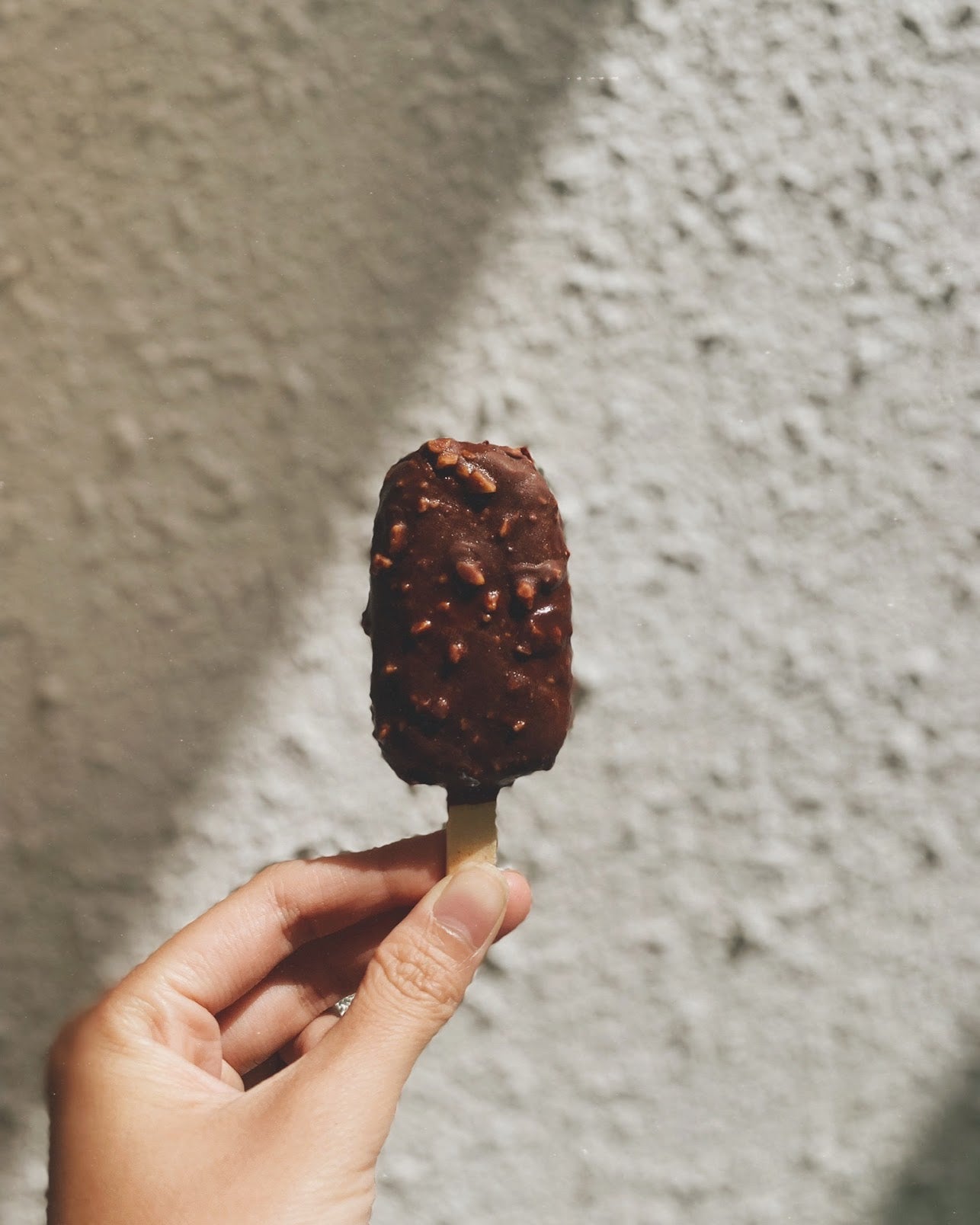 Salted Caramel Chocolate Fudge Popsicle